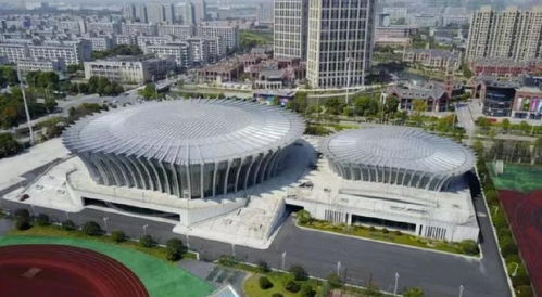 5大赛区20项赛事半数场馆服务升级 利亚德AI智能显示助力杭州亚运会与城市科技创新